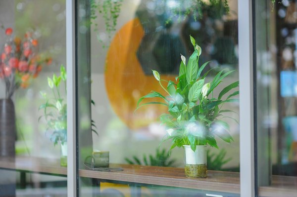 Panneau solaire photovoltaïque : énergie propre et économique